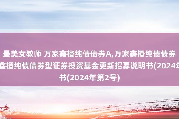 最美女教师 万家鑫橙纯债债券A,万家鑫橙纯债债券C: 万家鑫橙纯债债券型证券投资基金更新招募说明书(2024年第2号)