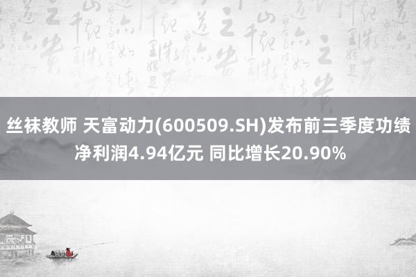 丝袜教师 天富动力(600509.SH)发布前三季度功绩 净利润4.94亿元 同比增长20.90%