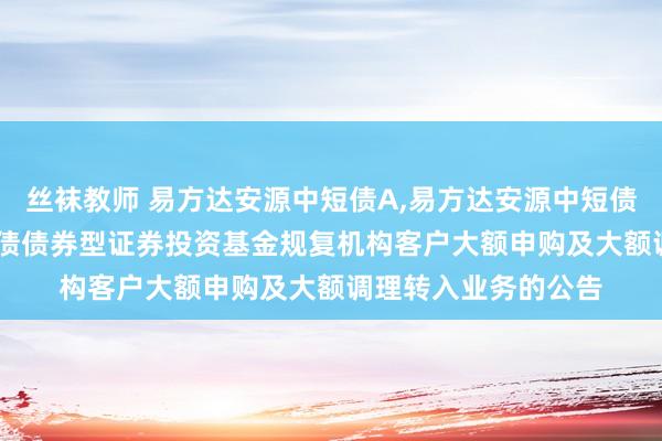 丝袜教师 易方达安源中短债A,易方达安源中短债C: 易方达安源中短债债券型证券投资基金规复机构客户大额申购及大额调理转入业务的公告