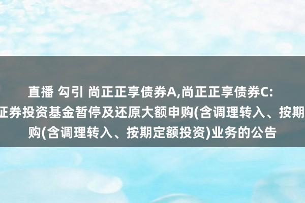 直播 勾引 尚正正享债券A,尚正正享债券C: 对于尚正正享债券型证券投资基金暂停及还原大额申购(含调理转入、按期定额投资)业务的公告