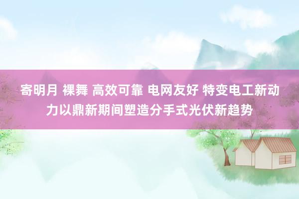 寄明月 裸舞 高效可靠 电网友好 特变电工新动力以鼎新期间塑造分手式光伏新趋势