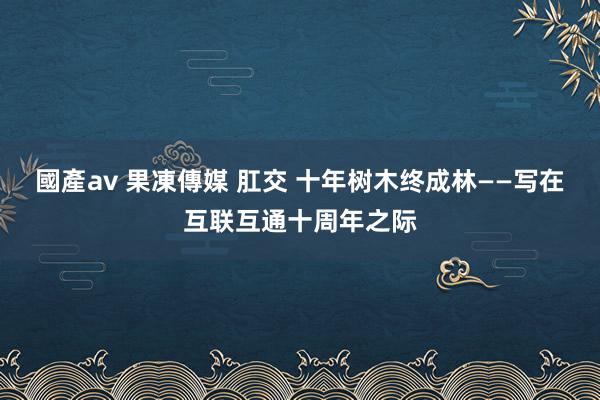 國產av 果凍傳媒 肛交 十年树木终成林——写在互联互通十周年之际