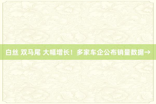 白丝 双马尾 大幅增长！多家车企公布销量数据→