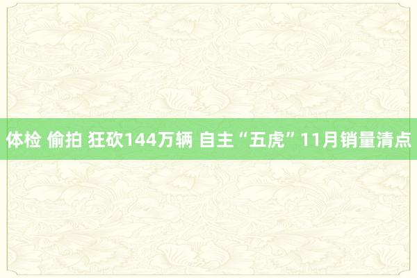 体检 偷拍 狂砍144万辆 自主“五虎”11月销量清点