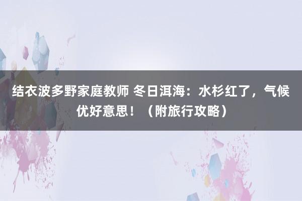 结衣波多野家庭教师 冬日洱海：水杉红了，气候优好意思！（附旅行攻略）