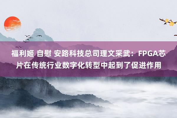 福利姬 自慰 安路科技总司理文采武：FPGA芯片在传统行业数字化转型中起到了促进作用