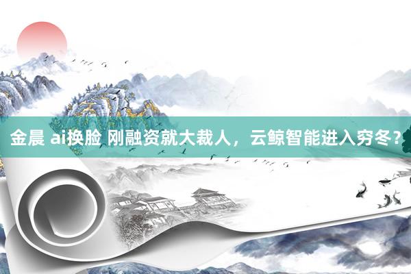 金晨 ai换脸 刚融资就大裁人，云鲸智能进入穷冬？