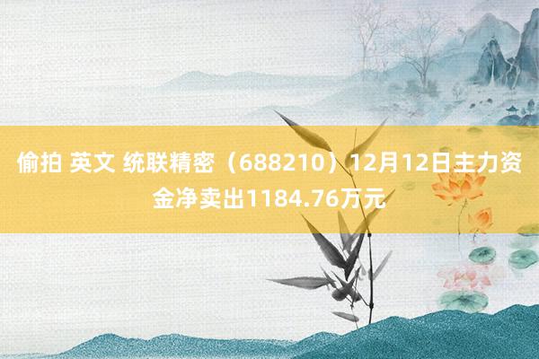 偷拍 英文 统联精密（688210）12月12日主力资金净卖出1184.76万元