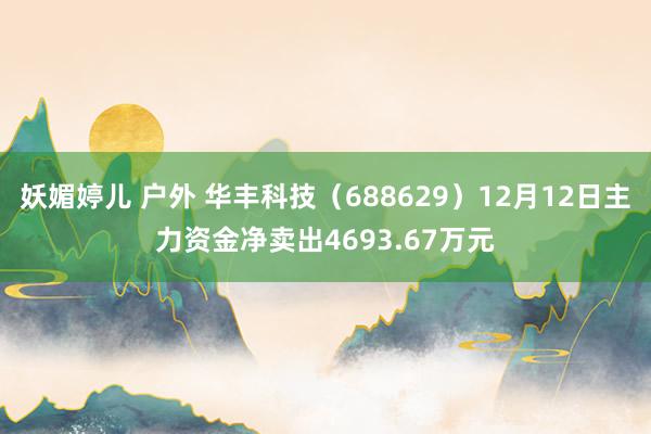 妖媚婷儿 户外 华丰科技（688629）12月12日主力资金净卖出4693.67万元