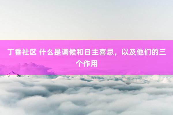丁香社区 什么是调候和日主喜忌，以及他们的三个作用