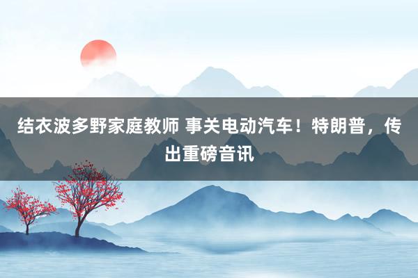 结衣波多野家庭教师 事关电动汽车！特朗普，传出重磅音讯