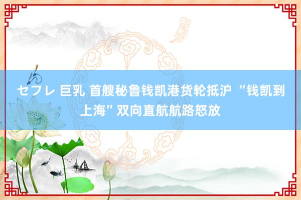 セフレ 巨乳 首艘秘鲁钱凯港货轮抵沪 “钱凯到上海”双向直航航路怒放