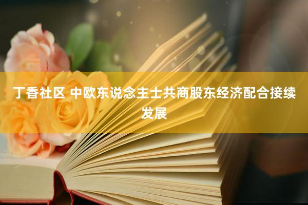 丁香社区 中欧东说念主士共商股东经济配合接续发展