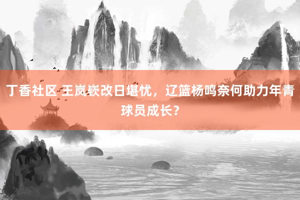丁香社区 王岚嵚改日堪忧，辽篮杨鸣奈何助力年青球员成长？