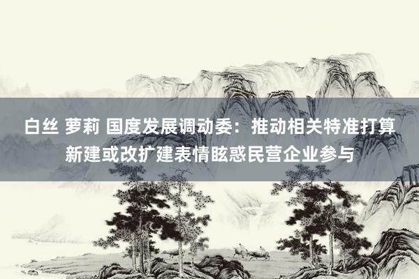 白丝 萝莉 国度发展调动委：推动相关特准打算新建或改扩建表情眩惑民营企业参与