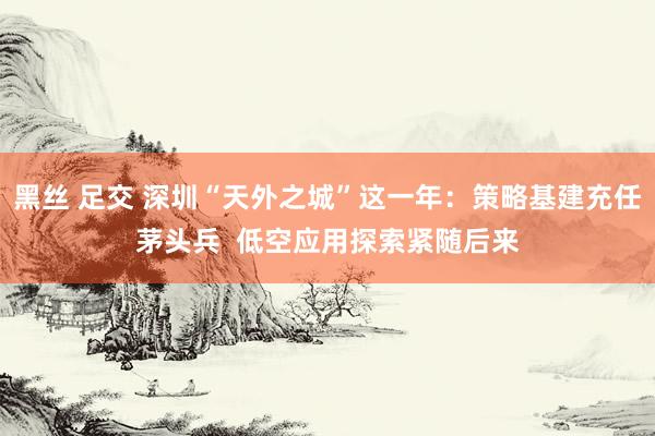 黑丝 足交 深圳“天外之城”这一年：策略基建充任茅头兵  低空应用探索紧随后来
