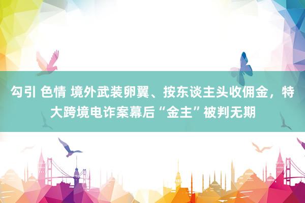 勾引 色情 境外武装卵翼、按东谈主头收佣金，特大跨境电诈案幕后“金主”被判无期