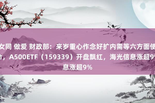 女同 做爱 财政部：来岁重心作念好扩内需等六方面使命，A500ETF（159339）开盘飘红，海光信息涨超9%