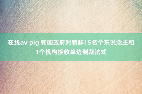 在线av pig 韩国政府对朝鲜15名个东说念主和1个机构接收单边制裁法式