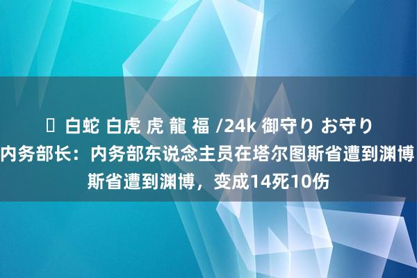 ✨白蛇 白虎 虎 龍 福 /24k 御守り お守り 叙利亚过渡政府内务部长：内务部东说念主员在塔尔图斯省遭到渊博，变成14死10伤