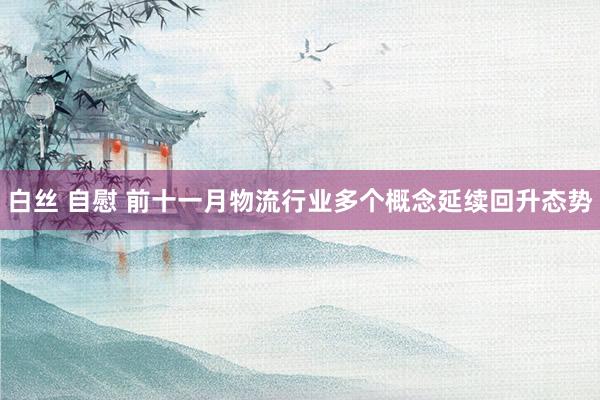 白丝 自慰 前十一月物流行业多个概念延续回升态势