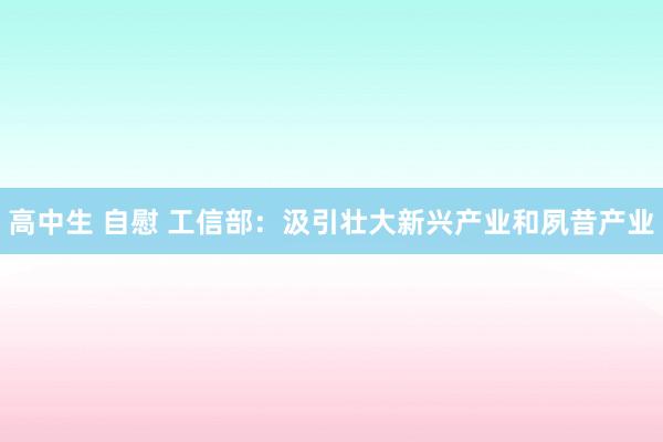 高中生 自慰 工信部：汲引壮大新兴产业和夙昔产业