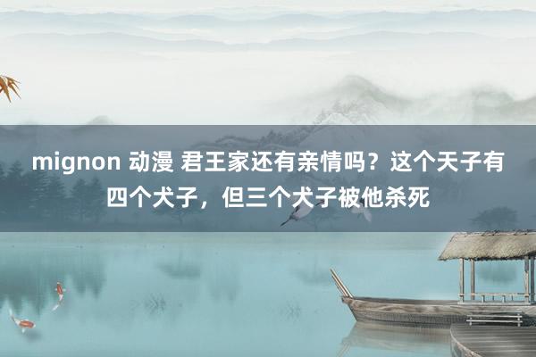mignon 动漫 君王家还有亲情吗？这个天子有四个犬子，但三个犬子被他杀死