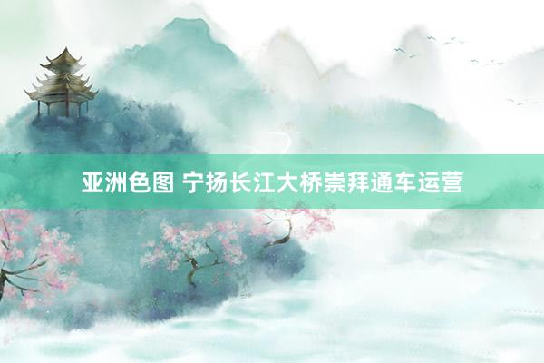 亚洲色图 宁扬长江大桥崇拜通车运营