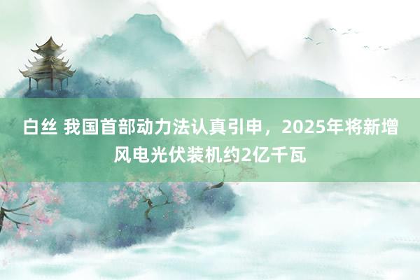 白丝 我国首部动力法认真引申，2025年将新增风电光伏装机约2亿千瓦