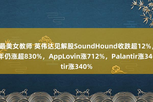 最美女教师 英伟达见解股SoundHound收跌超12%，全年仍涨超830%，AppLovin涨712%，Palantir涨340%