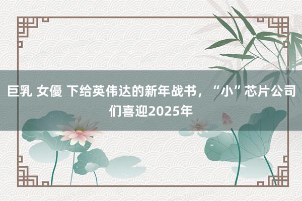 巨乳 女優 下给英伟达的新年战书，“小”芯片公司们喜迎2025年