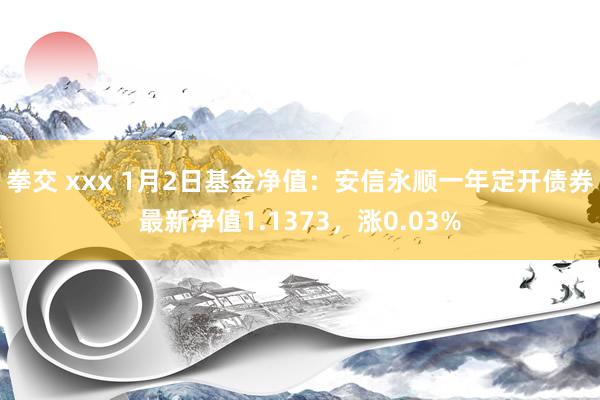 拳交 xxx 1月2日基金净值：安信永顺一年定开债券最新净值1.1373，涨0.03%