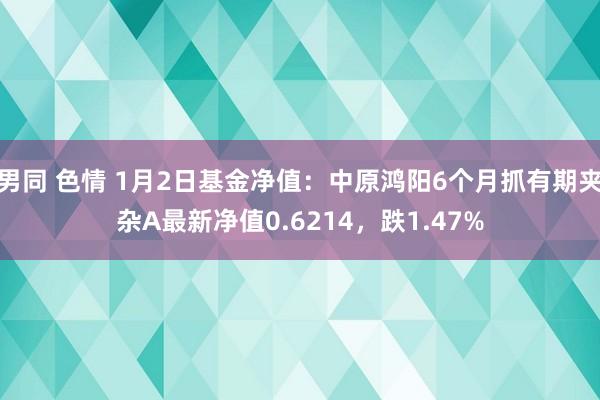 男同 色情 1月2日基金净值：中原鸿阳6个月抓有期夹杂A最新净值0.6214，跌1.47%