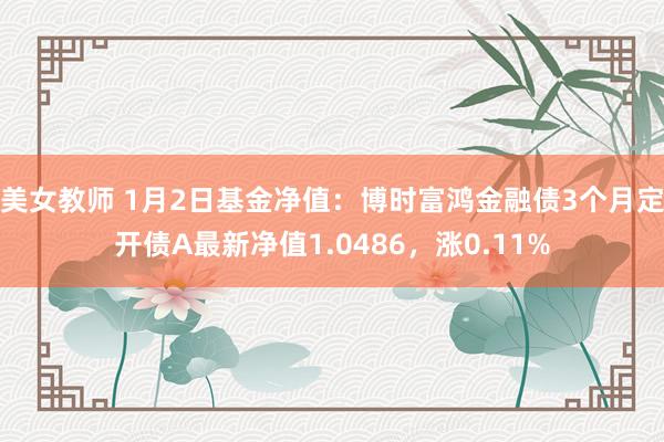 美女教师 1月2日基金净值：博时富鸿金融债3个月定开债A最新净值1.0486，涨0.11%