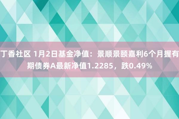 丁香社区 1月2日基金净值：景顺景颐嘉利6个月握有期债券A最新净值1.2285，跌0.49%