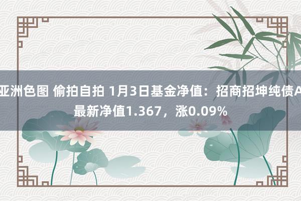 亚洲色图 偷拍自拍 1月3日基金净值：招商招坤纯债A最新净值1.367，涨0.09%
