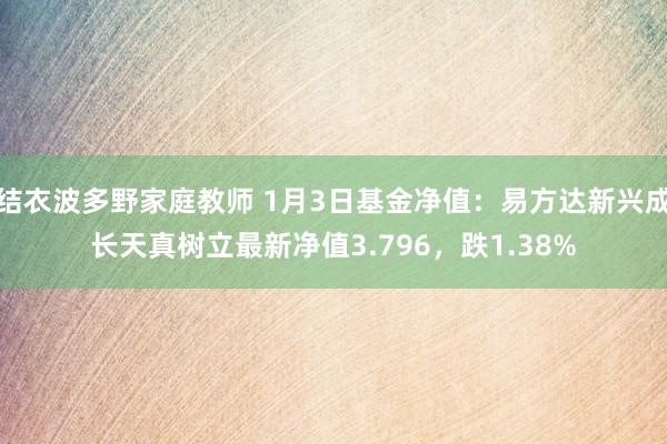 结衣波多野家庭教师 1月3日基金净值：易方达新兴成长天真树立最新净值3.796，跌1.38%