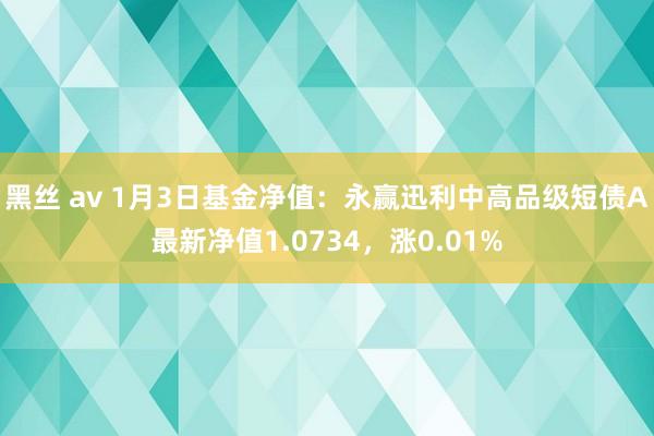 黑丝 av 1月3日基金净值：永赢迅利中高品级短债A最新净值1.0734，涨0.01%
