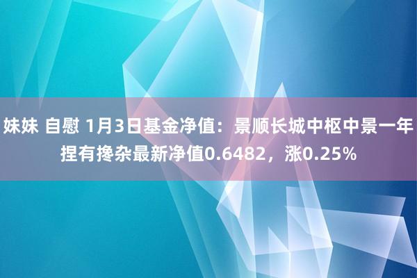 妹妹 自慰 1月3日基金净值：景顺长城中枢中景一年捏有搀杂最新净值0.6482，涨0.25%