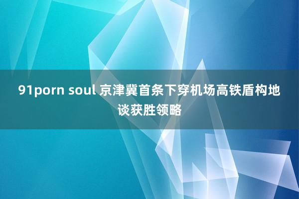 91porn soul 京津冀首条下穿机场高铁盾构地谈获胜领略