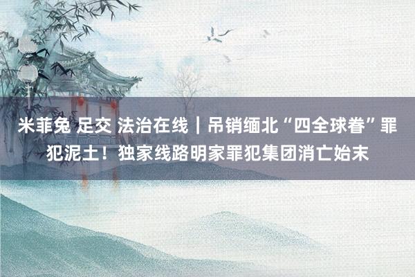 米菲兔 足交 法治在线｜吊销缅北“四全球眷”罪犯泥土！独家线路明家罪犯集团消亡始末