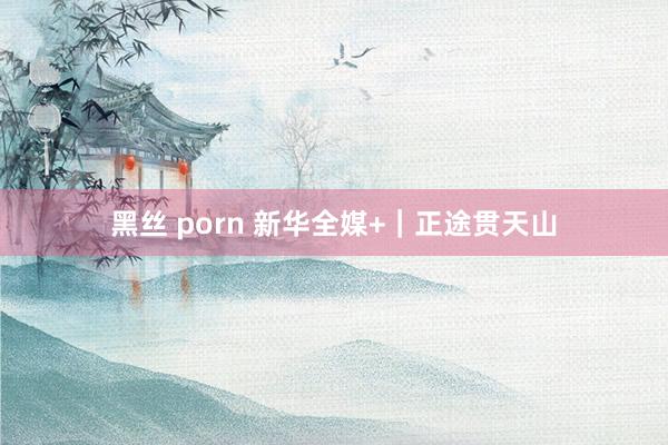 黑丝 porn 新华全媒+｜正途贯天山