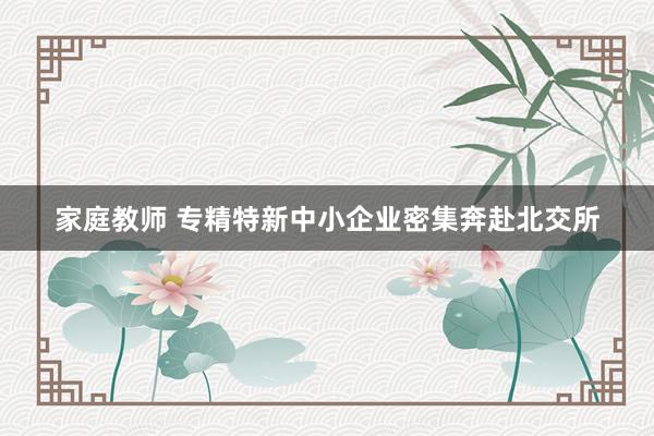 家庭教师 专精特新中小企业密集奔赴北交所