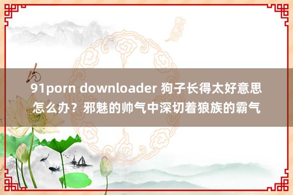91porn downloader 狗子长得太好意思怎么办？邪魅的帅气中深切着狼族的霸气