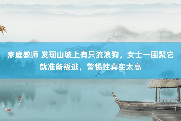 家庭教师 发现山坡上有只流浪狗，女士一围聚它就准备叛逃，警惕性真实太高