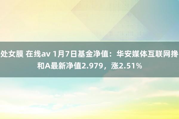 处女膜 在线av 1月7日基金净值：华安媒体互联网搀和A最新净值2.979，涨2.51%