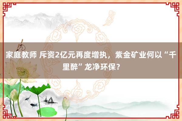 家庭教师 斥资2亿元再度增执，紫金矿业何以“千里醉”龙净环保？