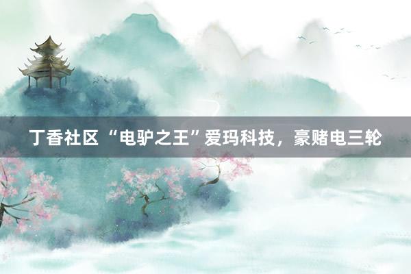 丁香社区 “电驴之王”爱玛科技，豪赌电三轮