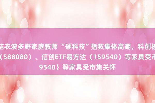结衣波多野家庭教师 “硬科技”指数集体高潮，科创板50ETF（588080）、信创ETF易方达（159540）等家具受市集关怀