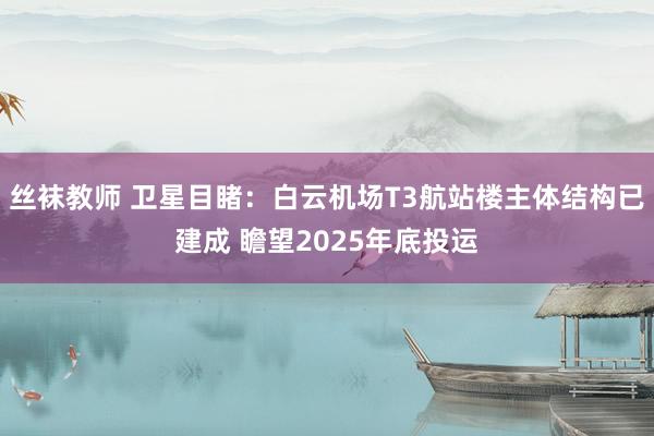 丝袜教师 卫星目睹：白云机场T3航站楼主体结构已建成 瞻望2025年底投运